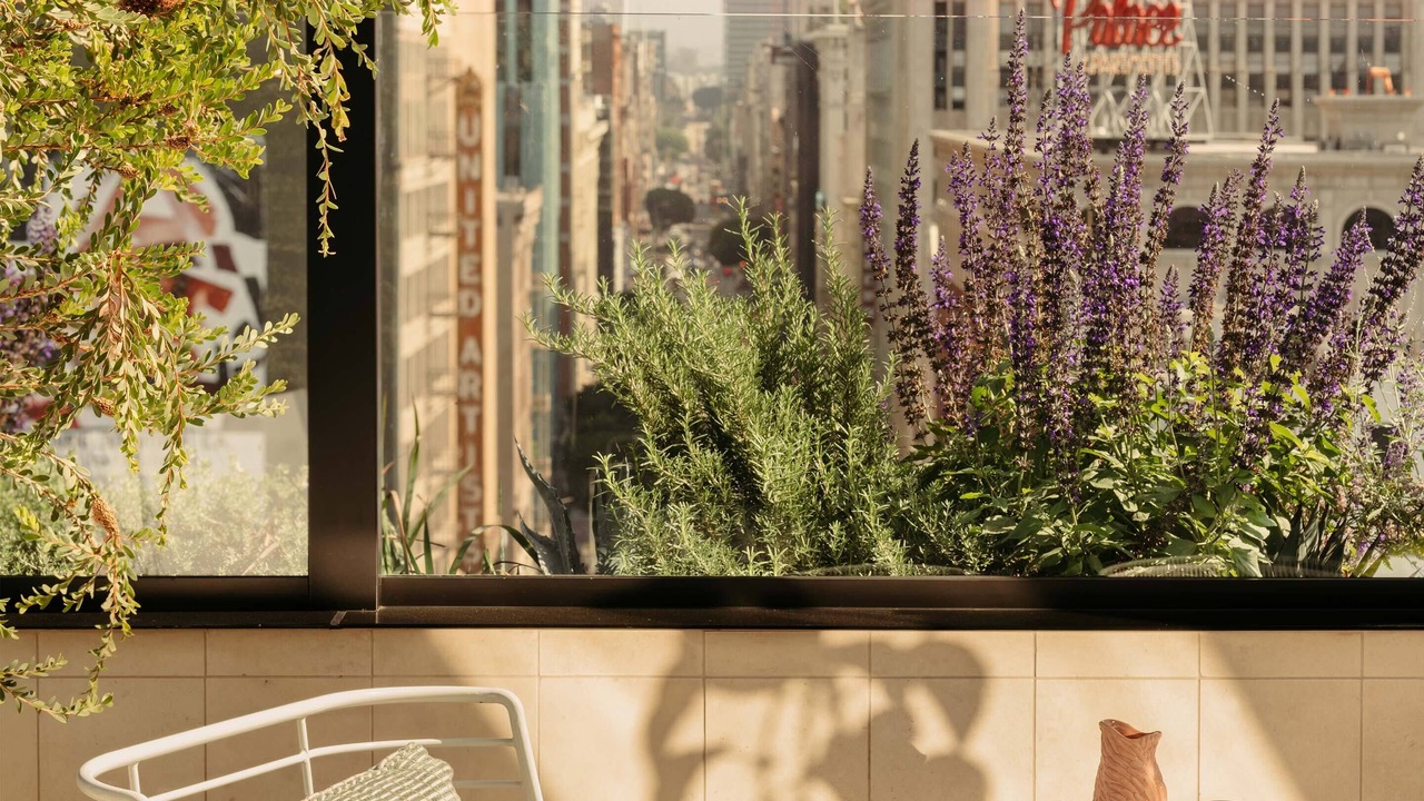Photo of Outdoor in Downtown Los Angeles