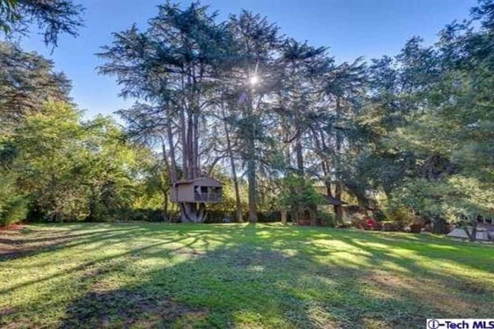 Photo of Outdoor in Altadena