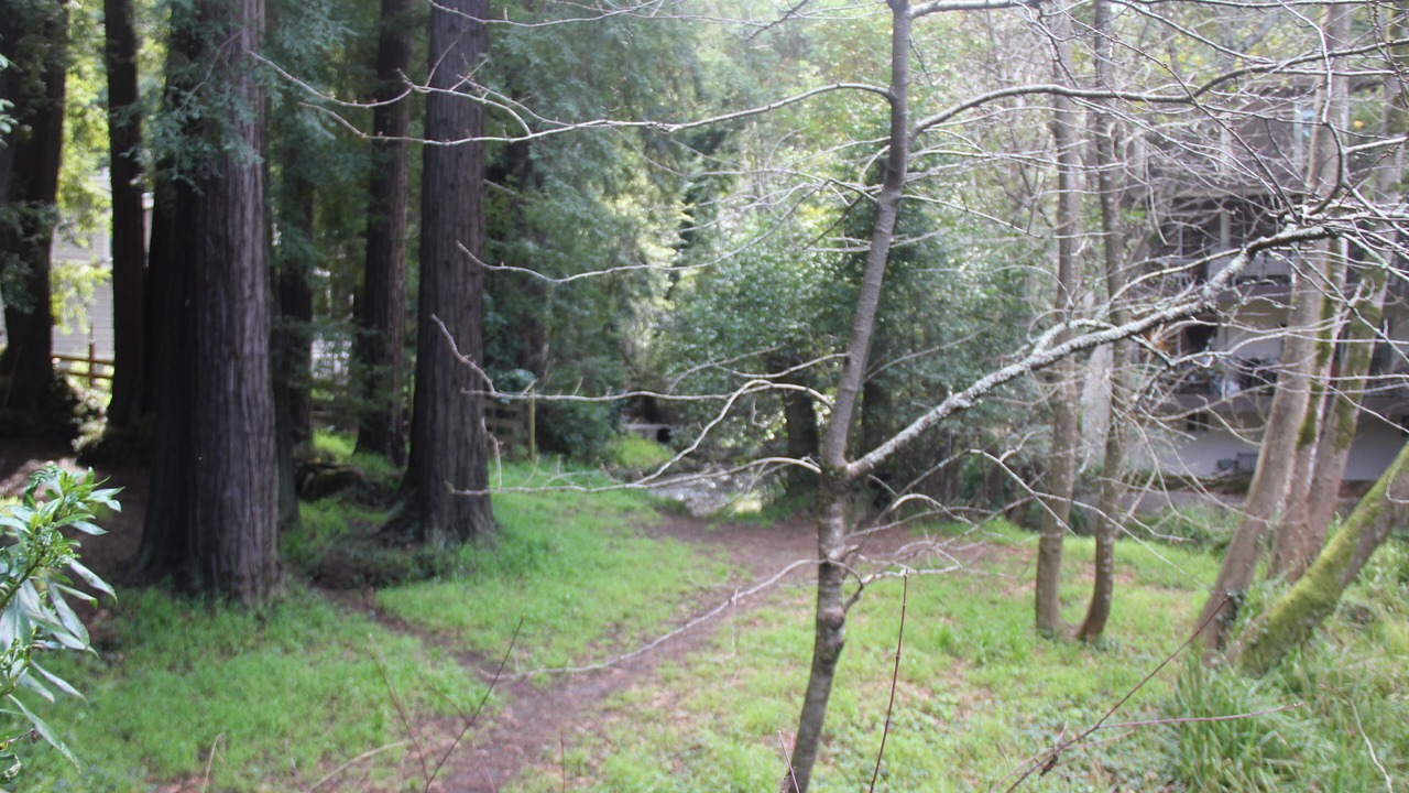 Photo of Outdoor in Mill Valley