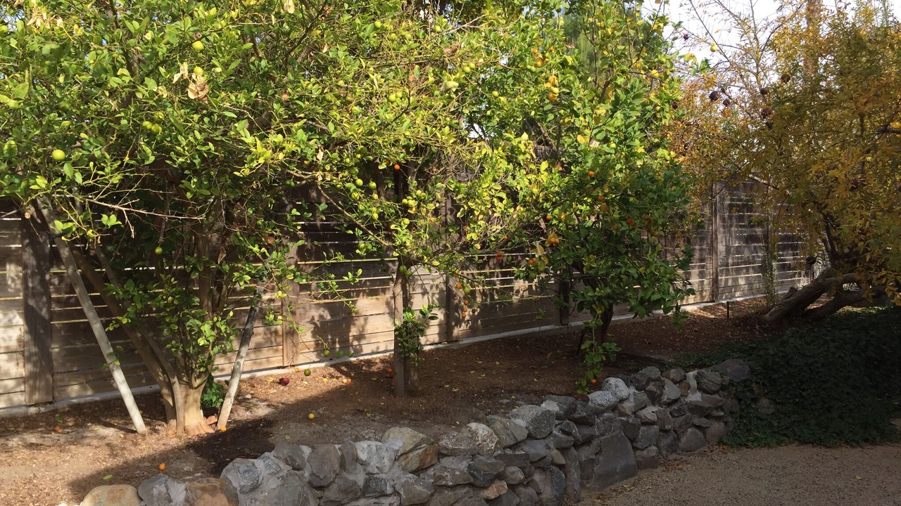 Photo of Outdoor in Tustin