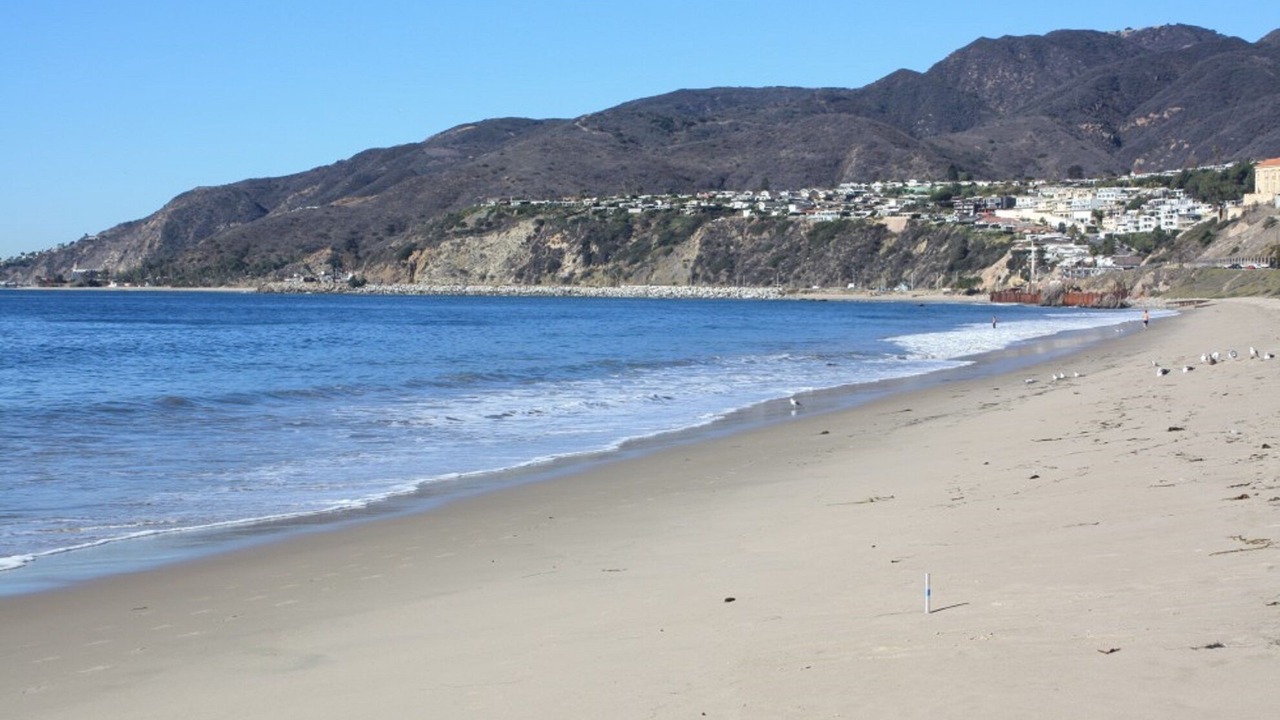 Photo of Others in Pacific Palisades