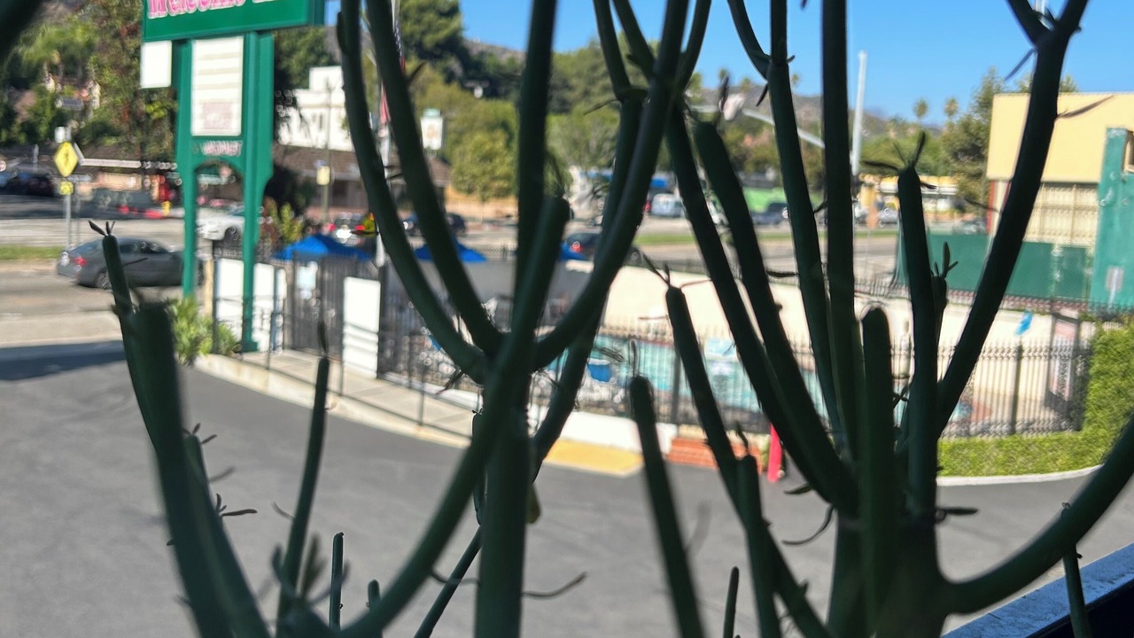 Photo of Patio Balcony in Eagle Rock