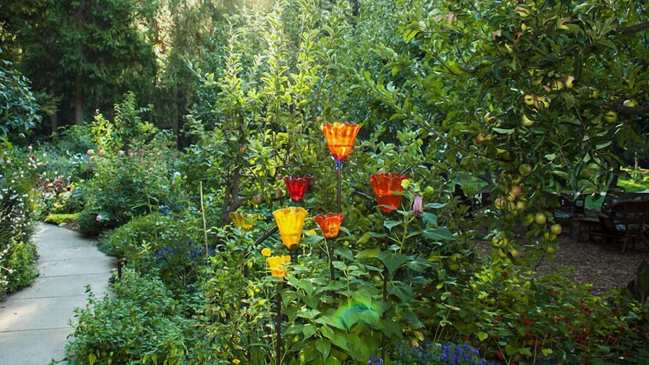 Photo of Outdoor in Nevada City