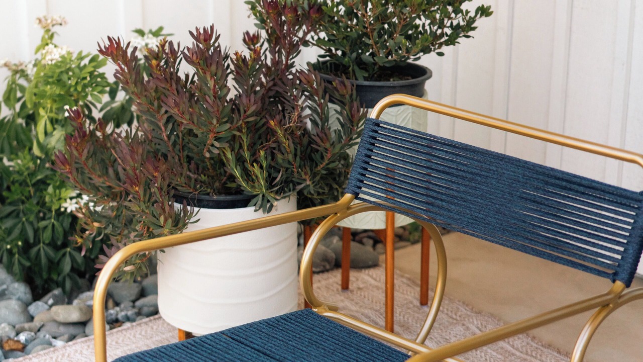 Photo of Patio Balcony in Fort Bragg
