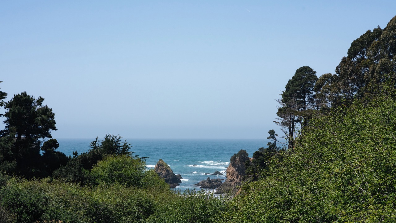 Photo of Others in Fort Bragg