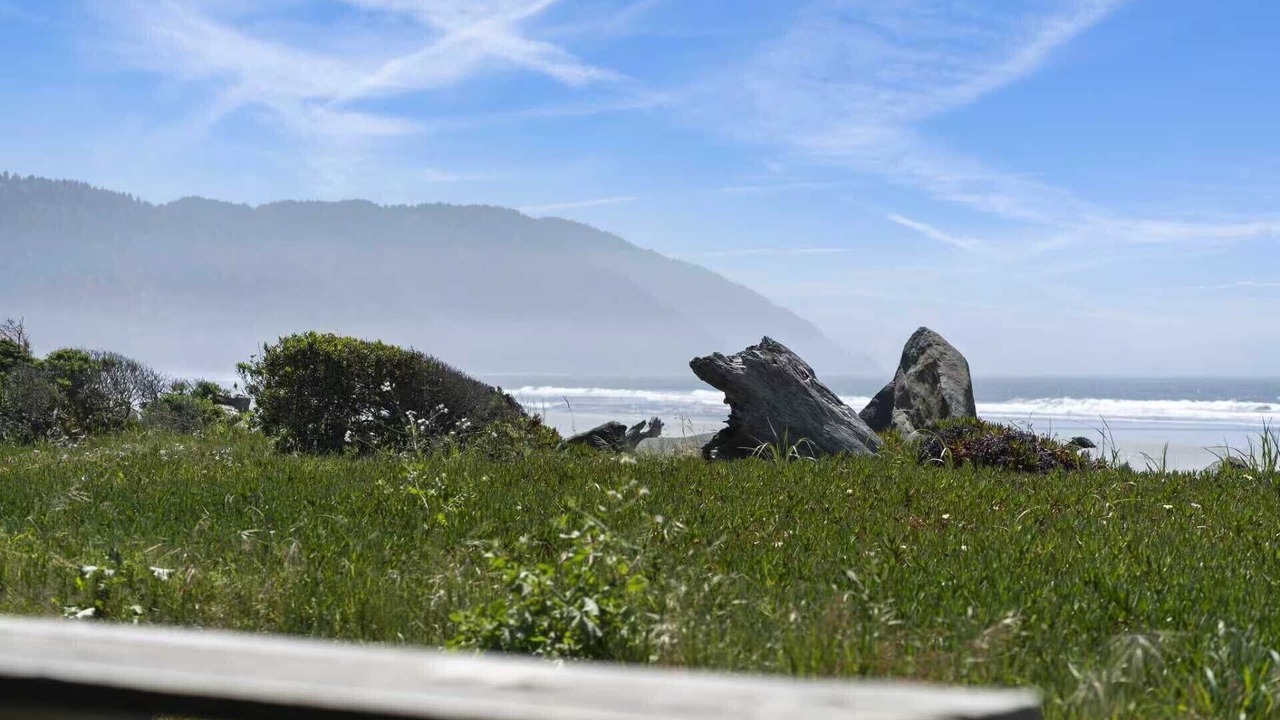 Photo of Others in Bertsch-Oceanview