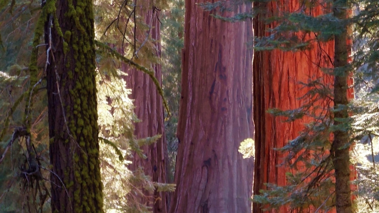 Photo of Outdoor in Midpines