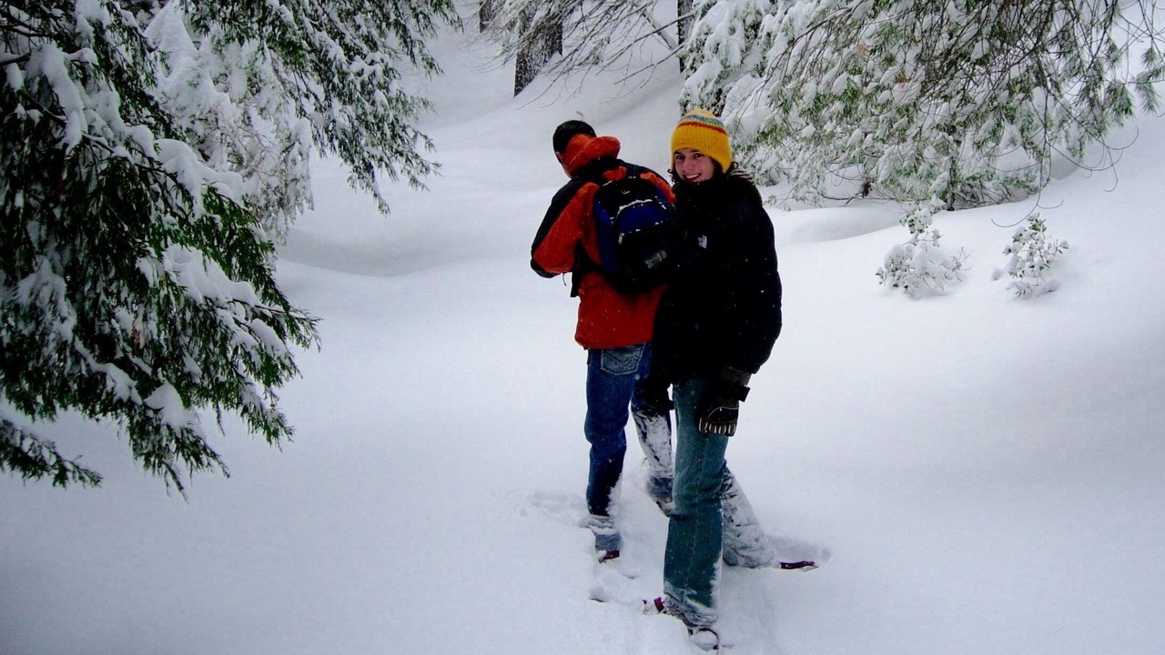 Photo of Others in Midpines