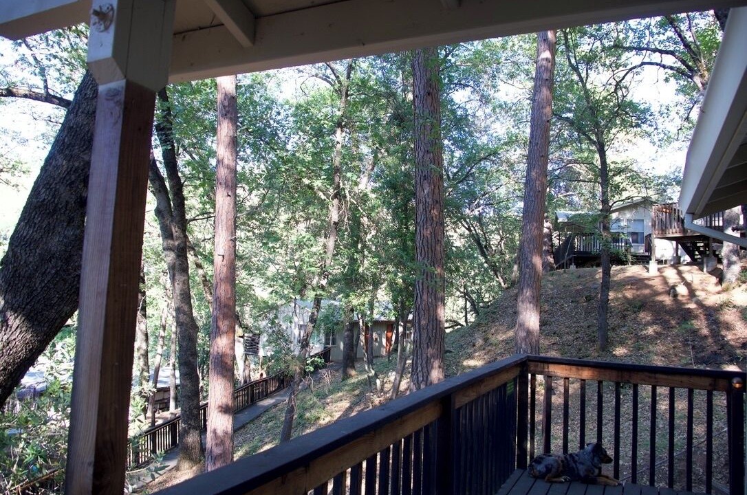 Photo of Bedroom in Midpines