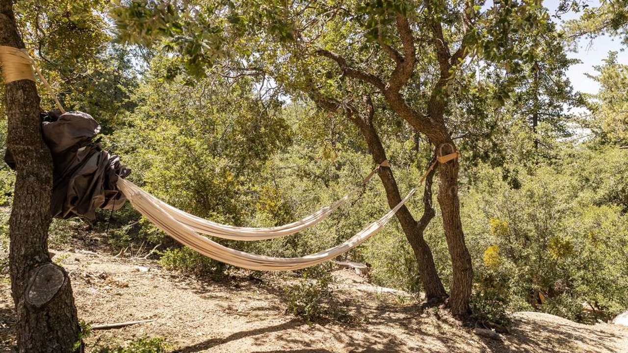 Photo of Others in Pine Cove