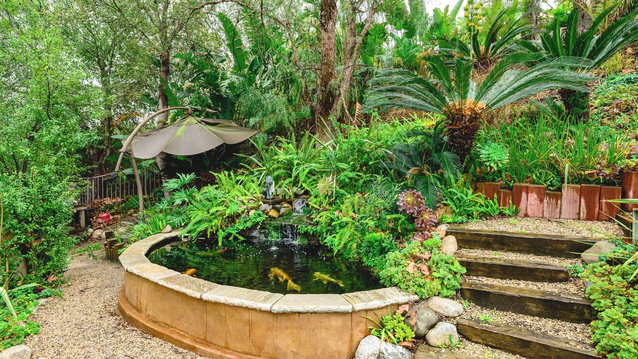 Photo of Outdoor in Rancho Santa Margarita