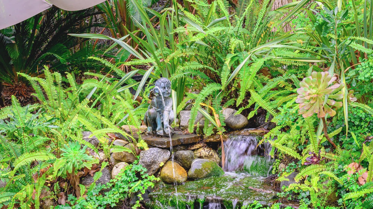Photo of Outdoor in Rancho Santa Margarita