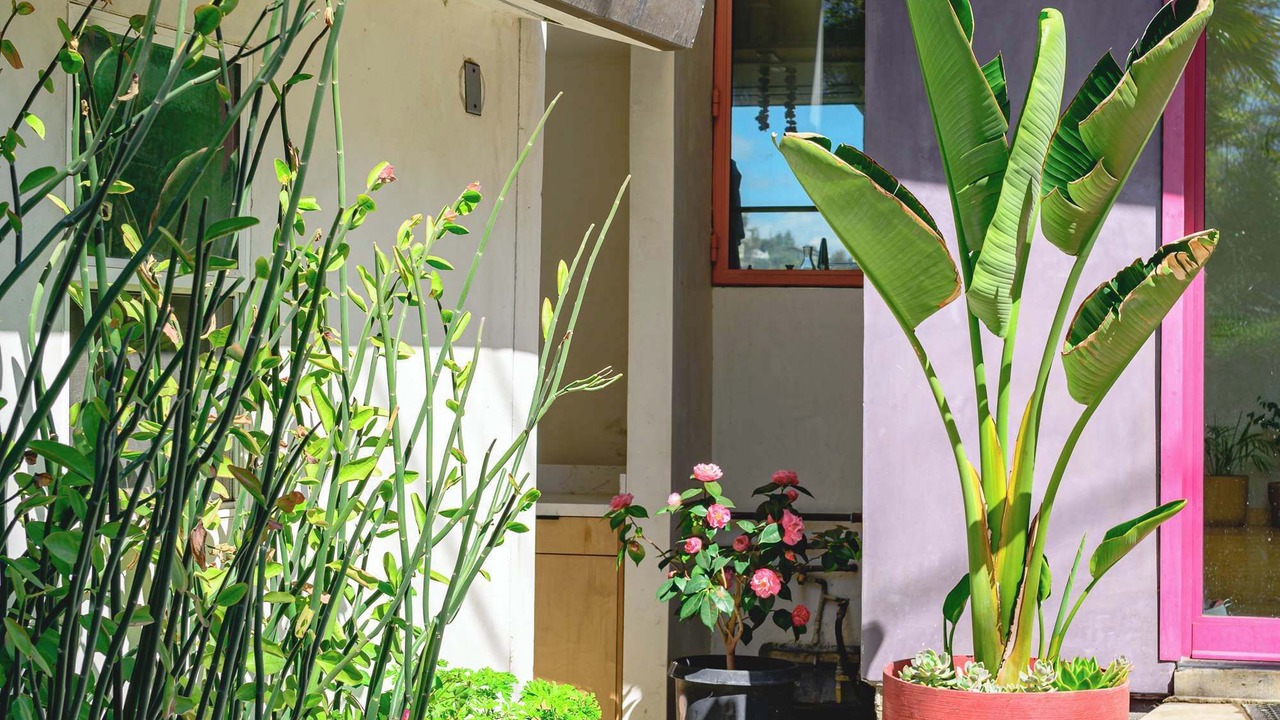 Photo of Outdoor in Atwater Village