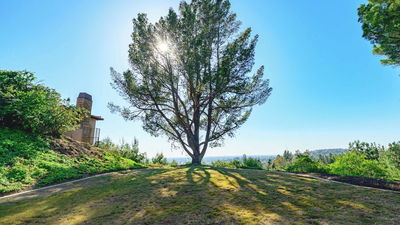 Photo of Outdoor in Santa Ana