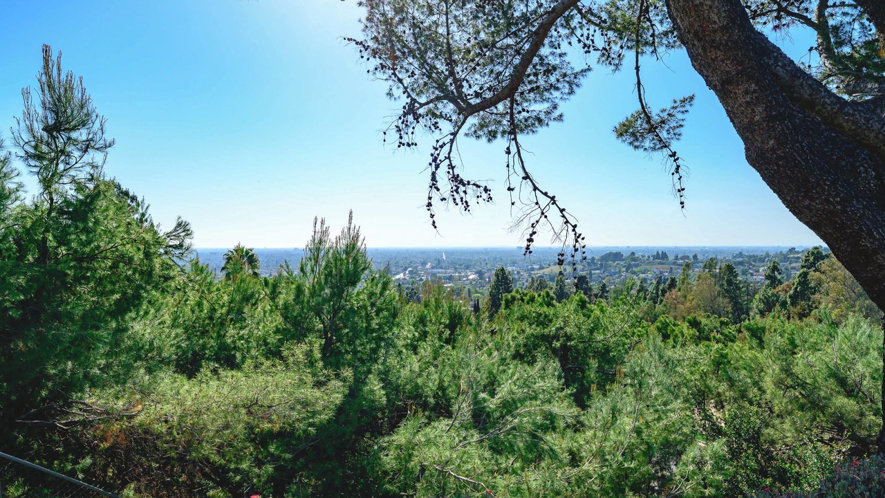 Photo of Outdoor in Santa Ana