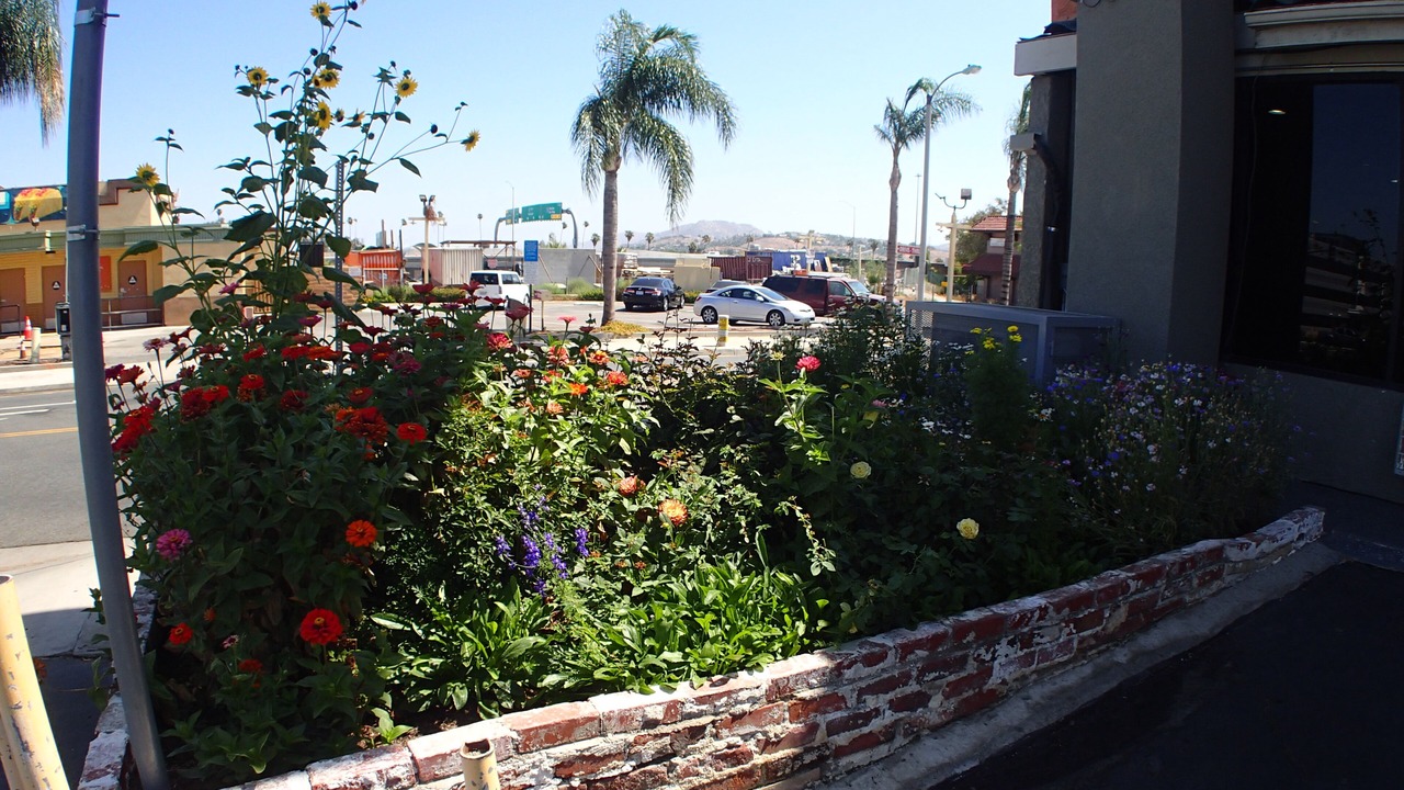 Photo of Outdoor in Corona