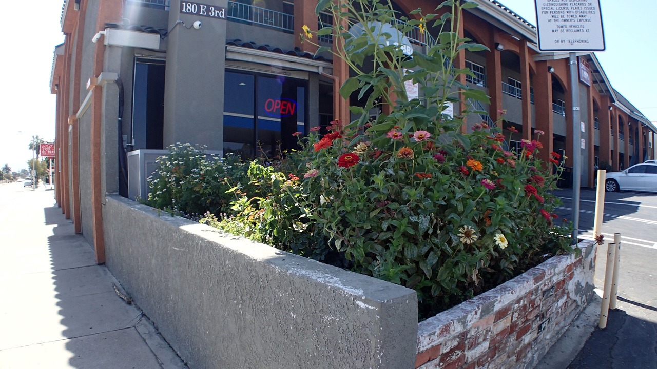 Photo of Outdoor in Corona