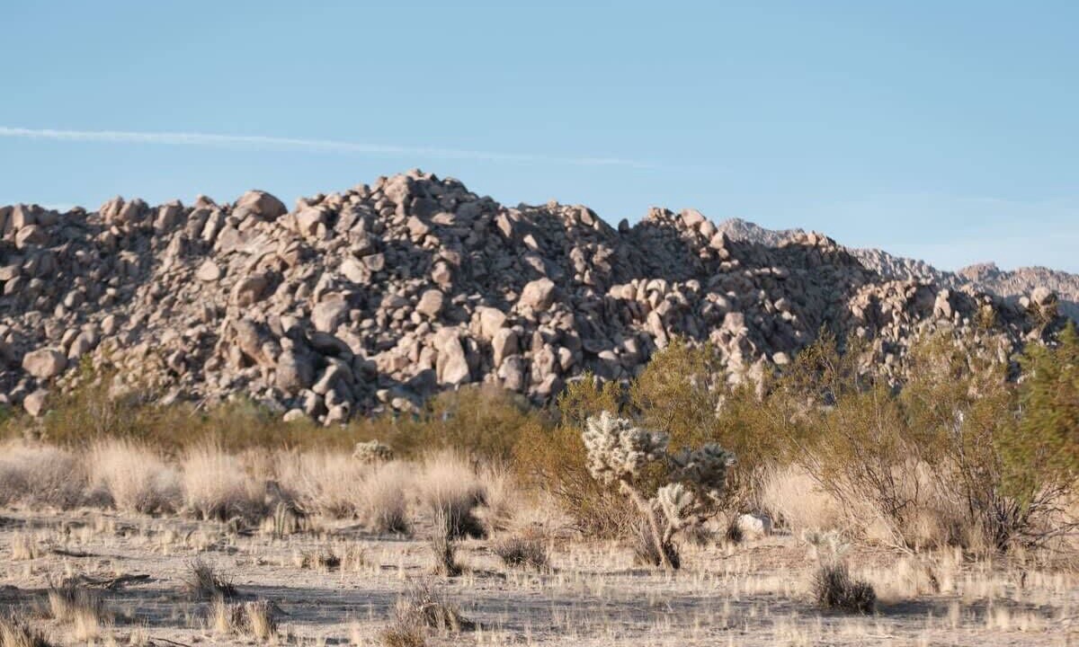 Photo of Others in Panorama Heights