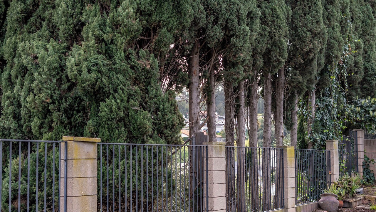 Photo of Outdoor in Rowland Heights