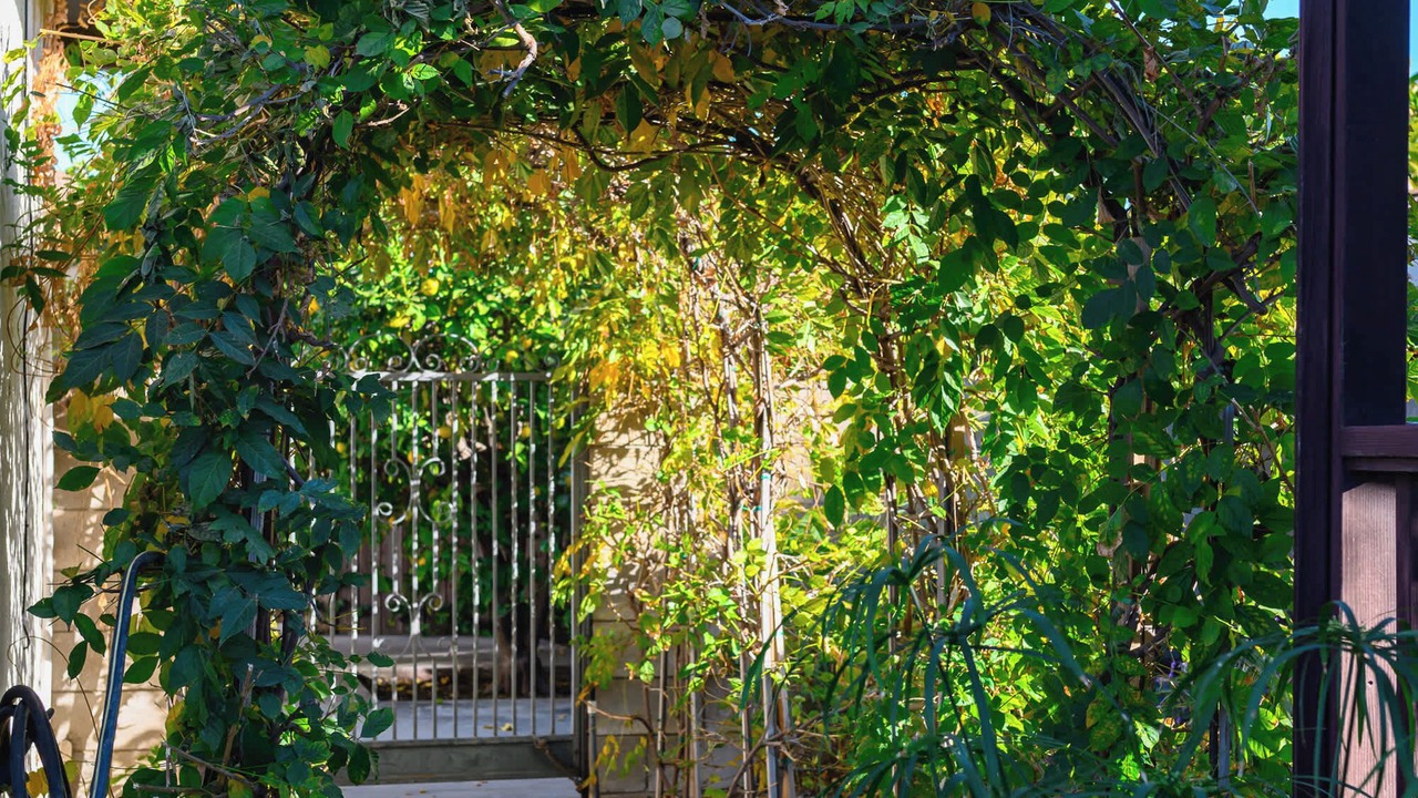 Photo of Outdoor in Glendora