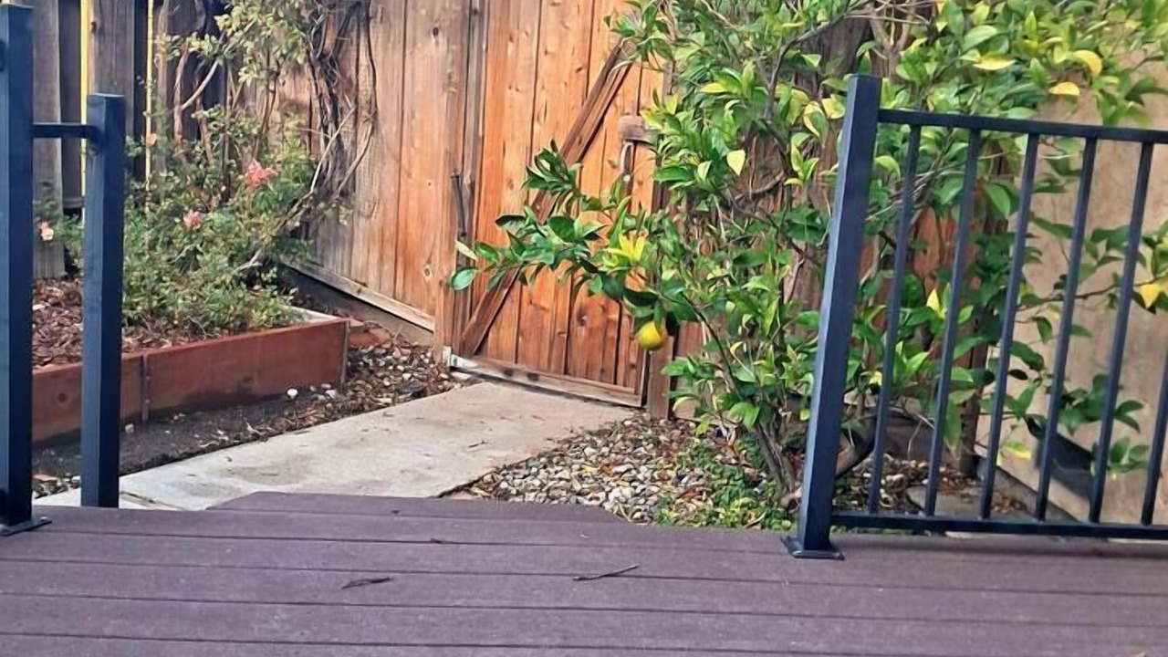 Photo of Outdoor in Pleasant Hill