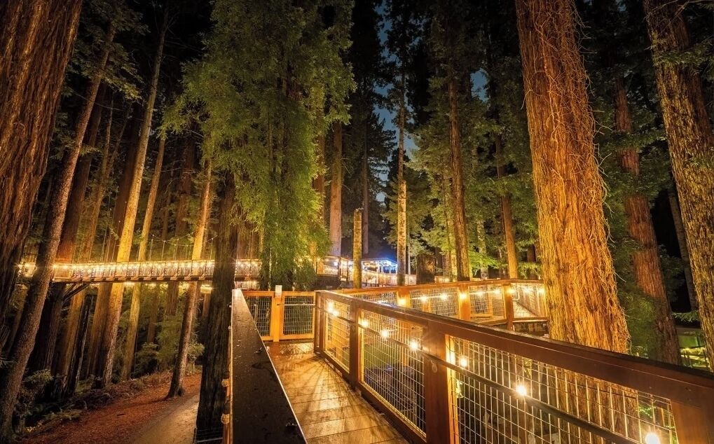 Photo of Outdoor in Downtown