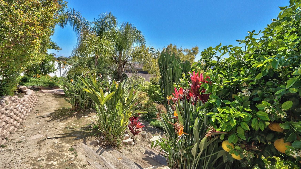 Photo of Outdoor in Coastal San Pedro