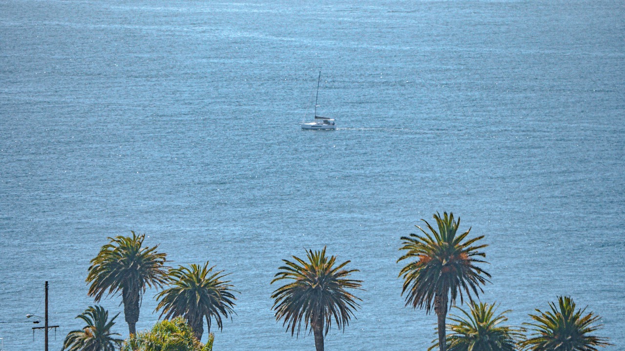 Photo of Others in Coastal San Pedro
