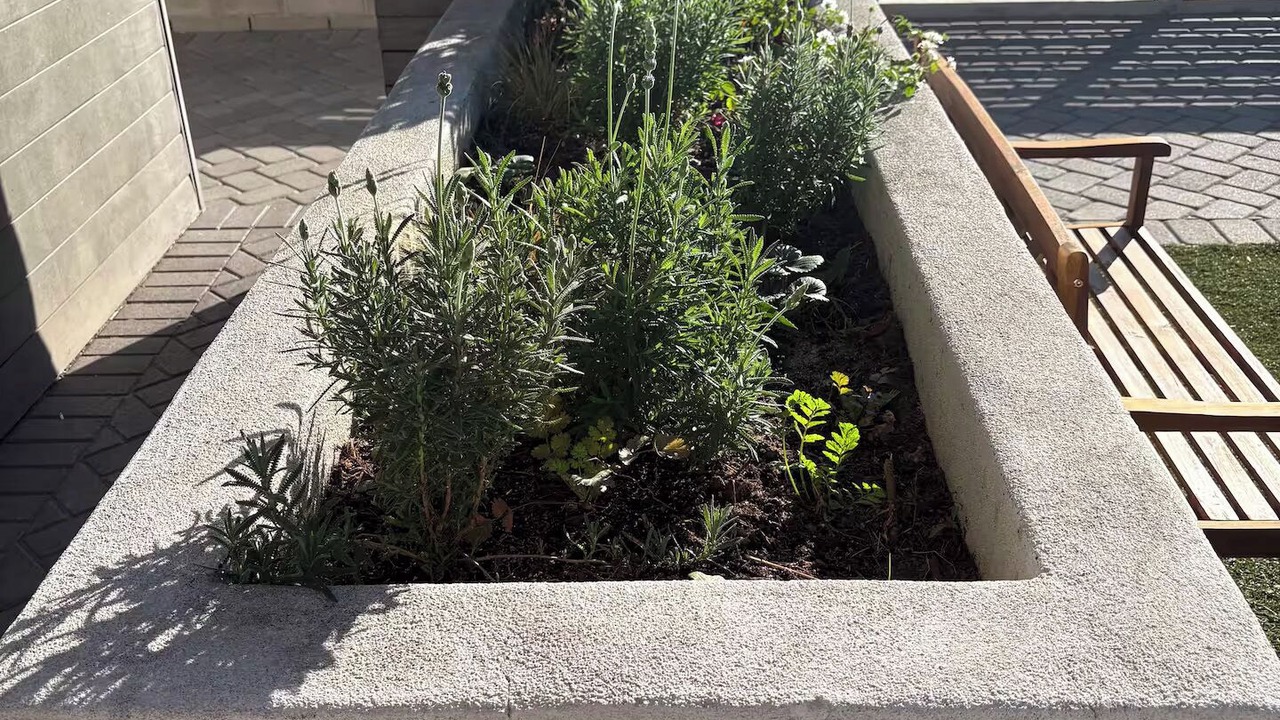 Photo of Outdoor in NoHo Arts District
