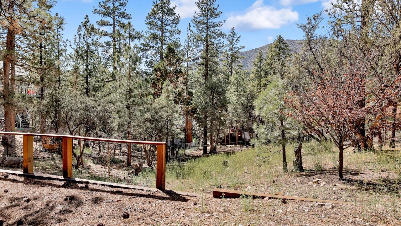 Photo of Outdoor in Whispering Forest