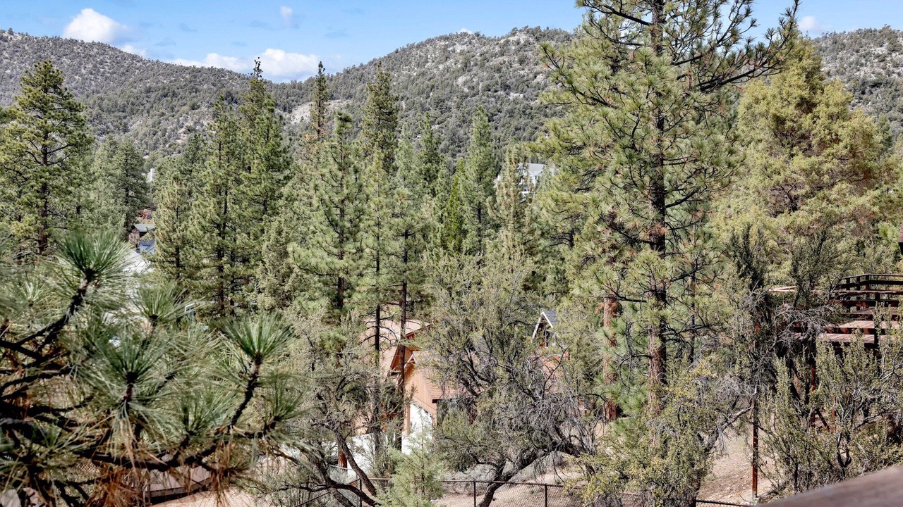 Photo of Outdoor in Whispering Forest