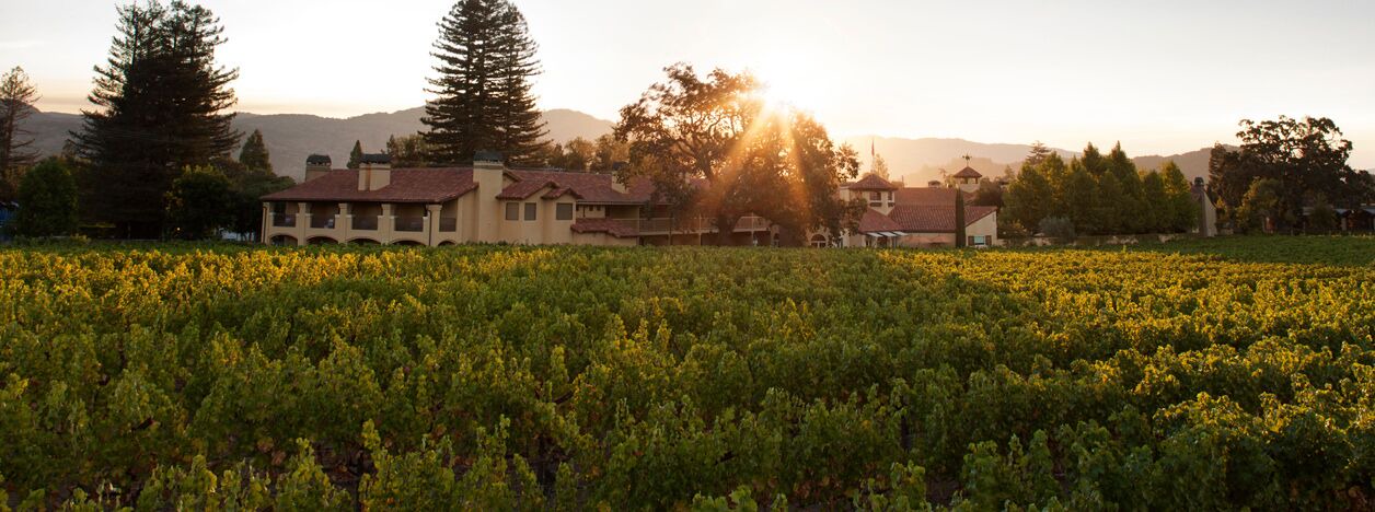 Photo of Others in Yountville