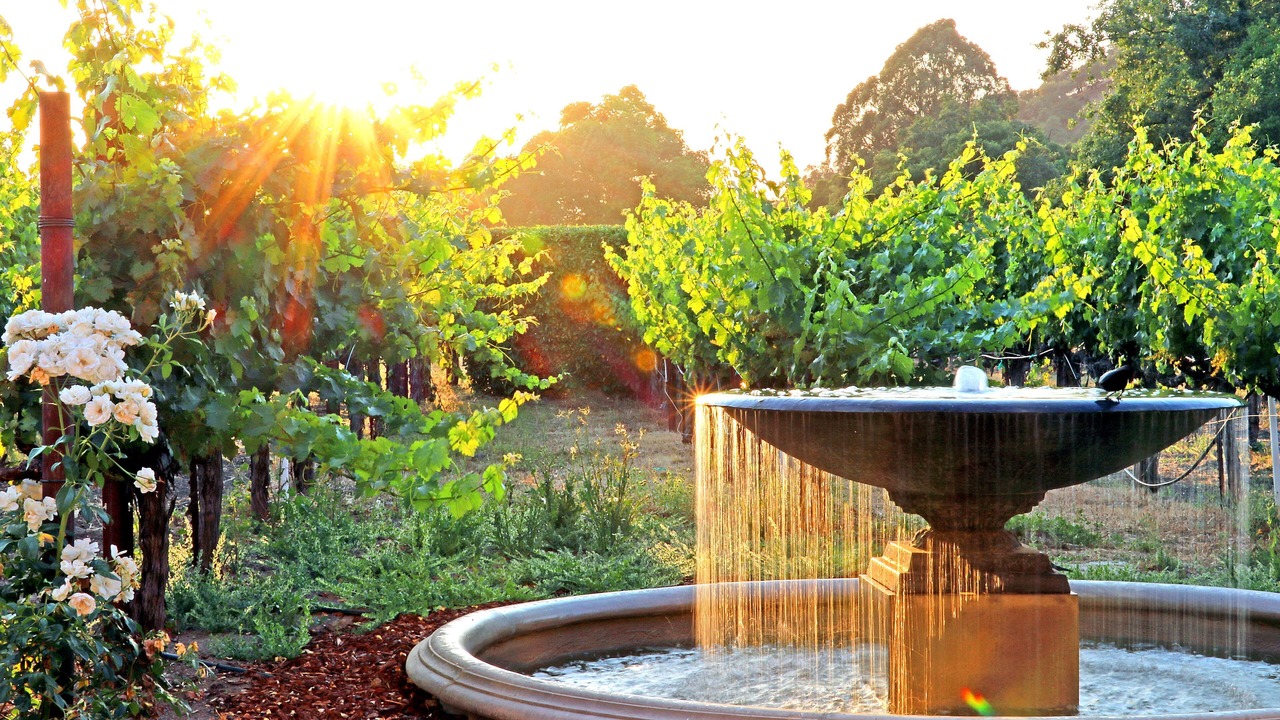 Photo of Outdoor in Yountville