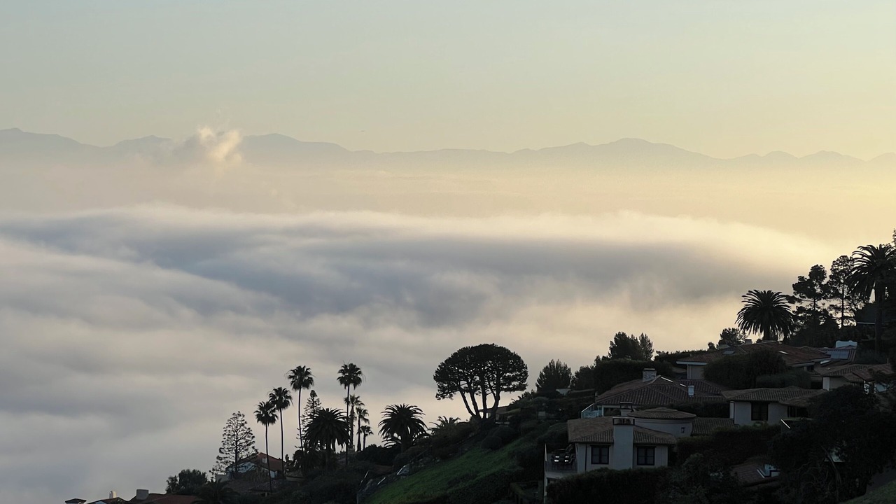Photo of Others in Malaga Cove