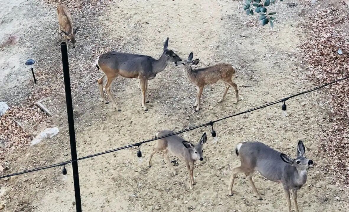 Photo of Others in Kernville