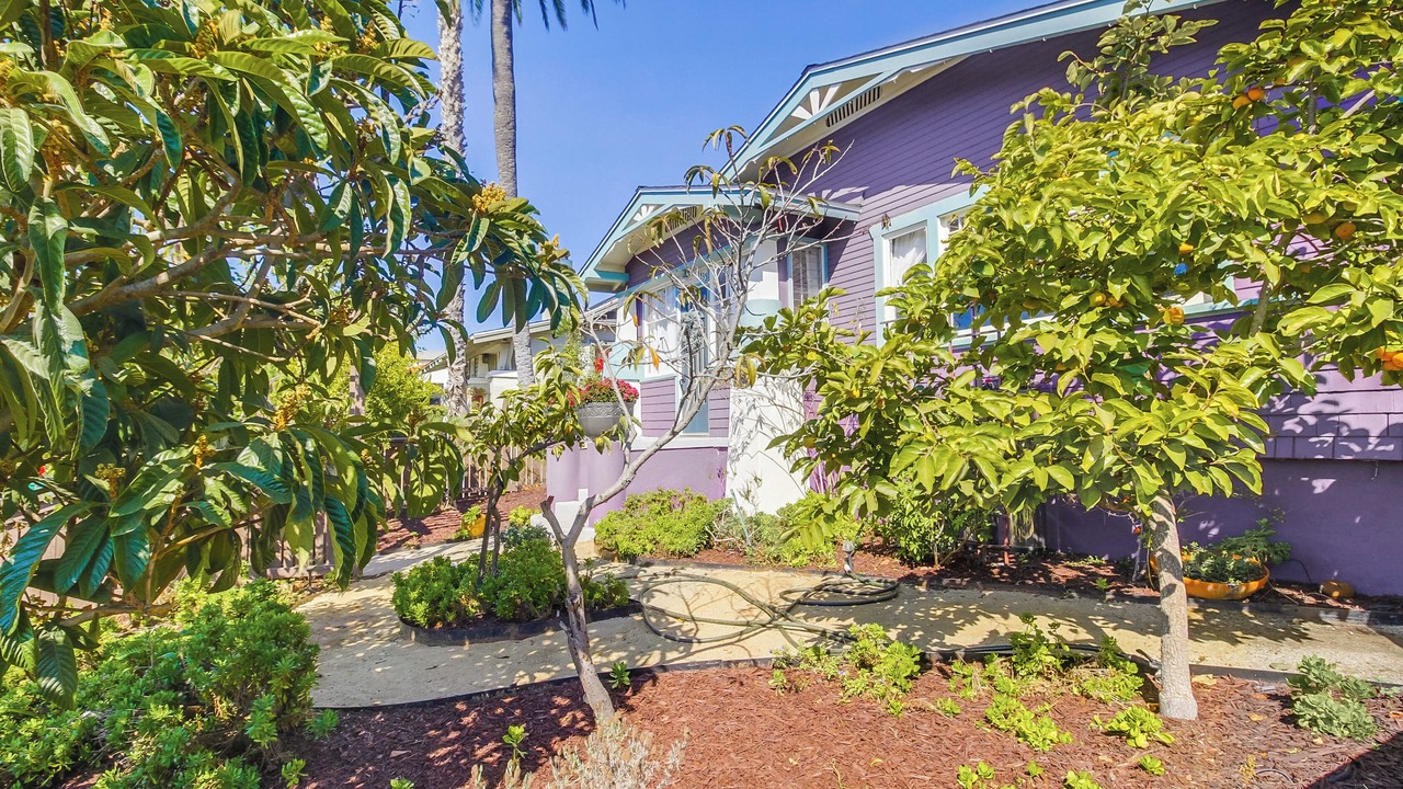 Photo of Outdoor in North Park