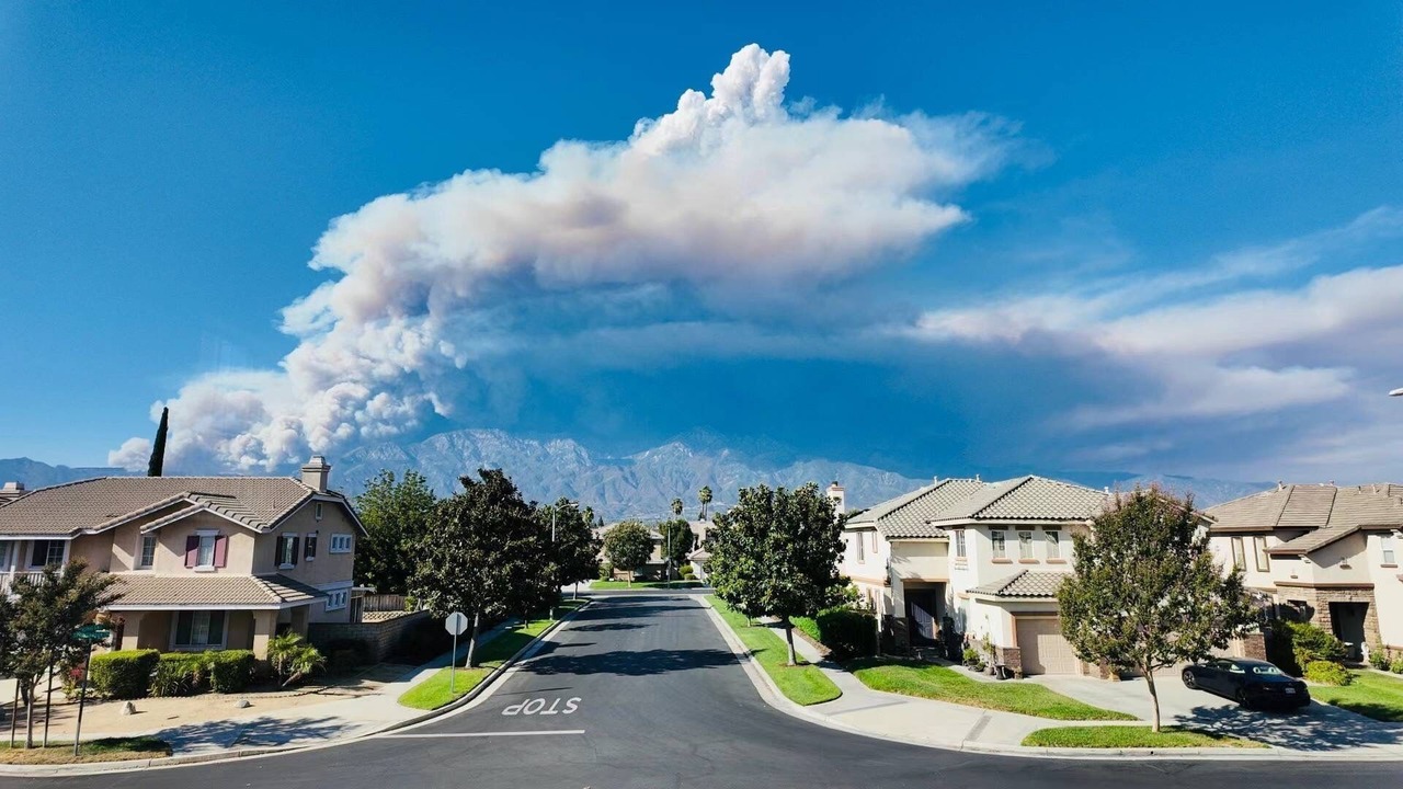 Photo of Others in Chino