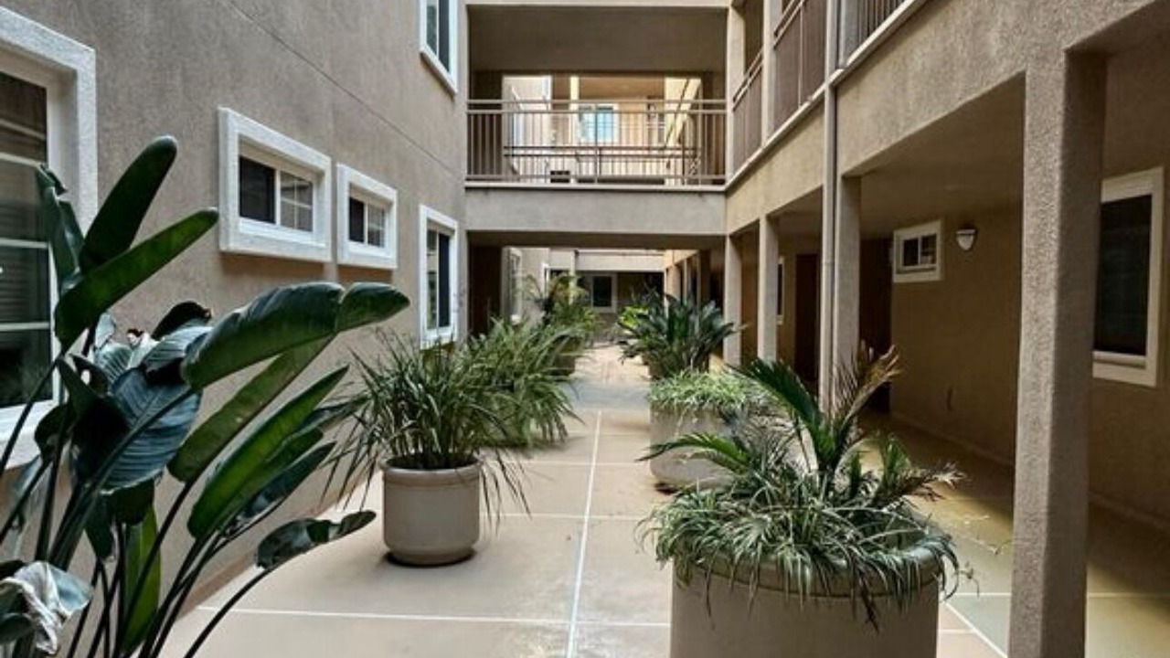 Photo of Outdoor in North Redondo