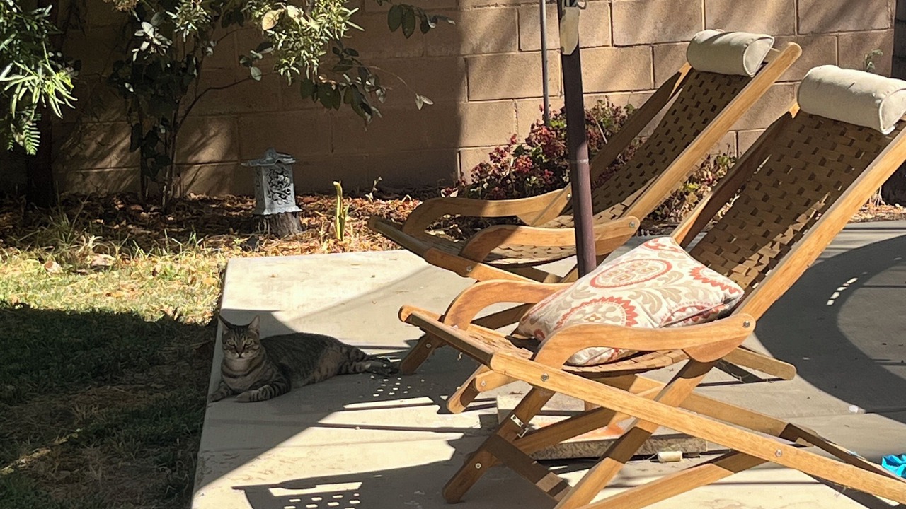 Photo of Outdoor in Canyon Lake