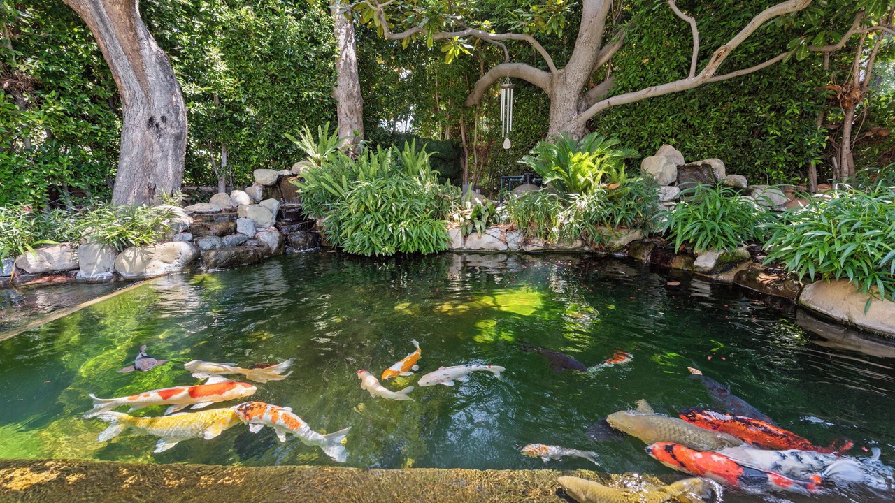 Photo of Outdoor in Beverly Hills