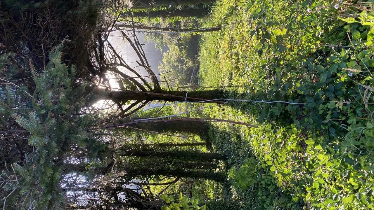 Photo of Others in Smith River