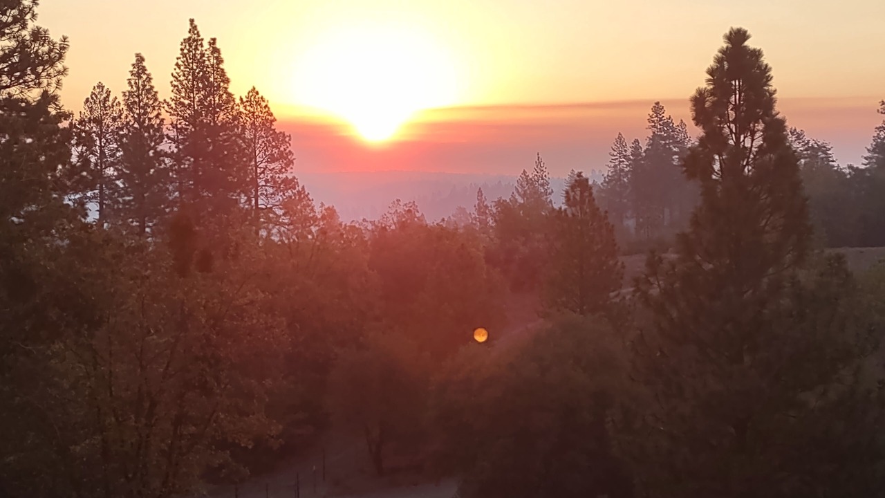 Photo of Others in Sutter Creek