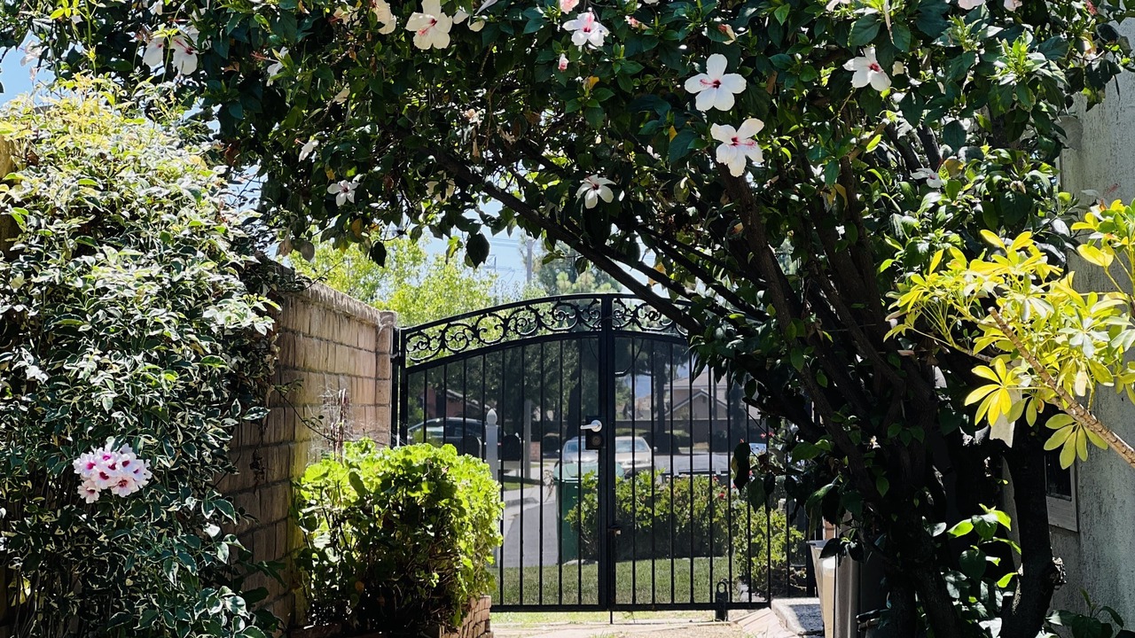 Photo of Outdoor in Westmont