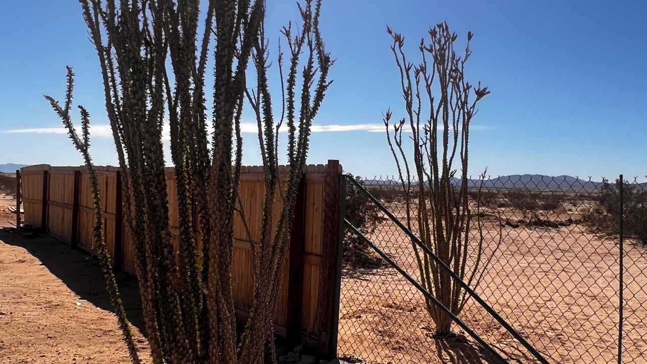 Photo of Outdoor in Wonder Valley