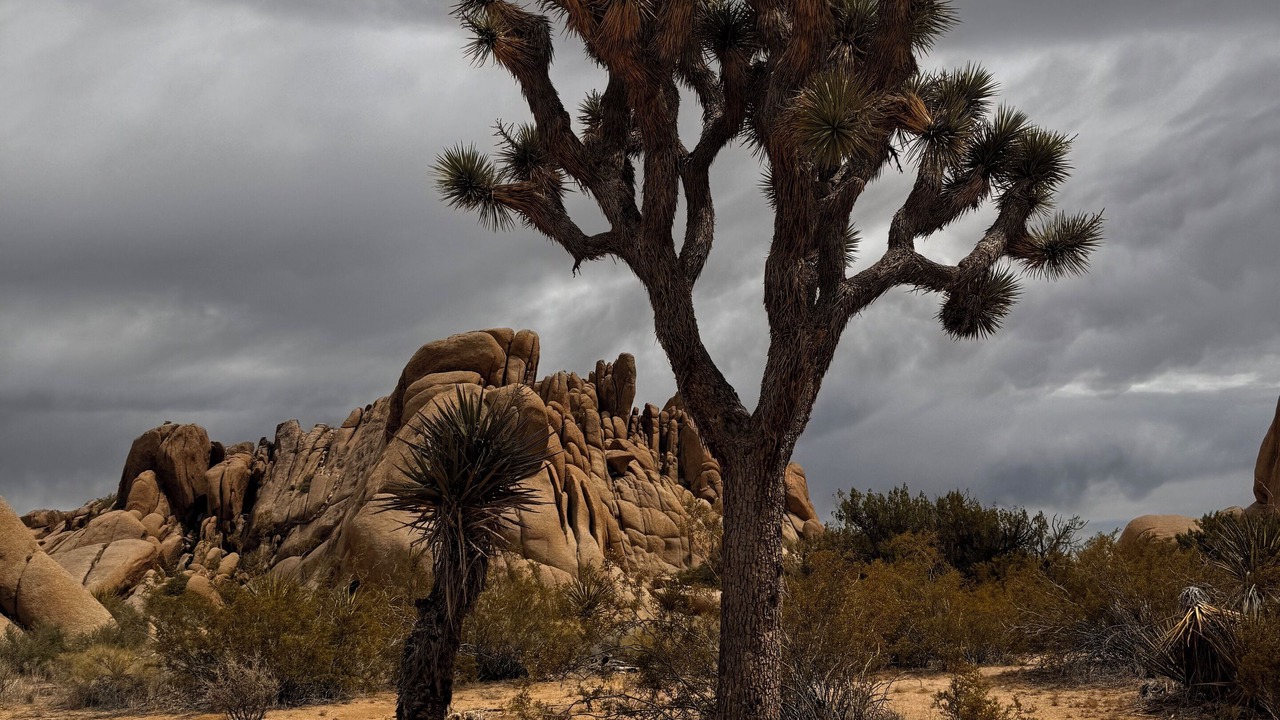 Photo of Outdoor in Wonder Valley