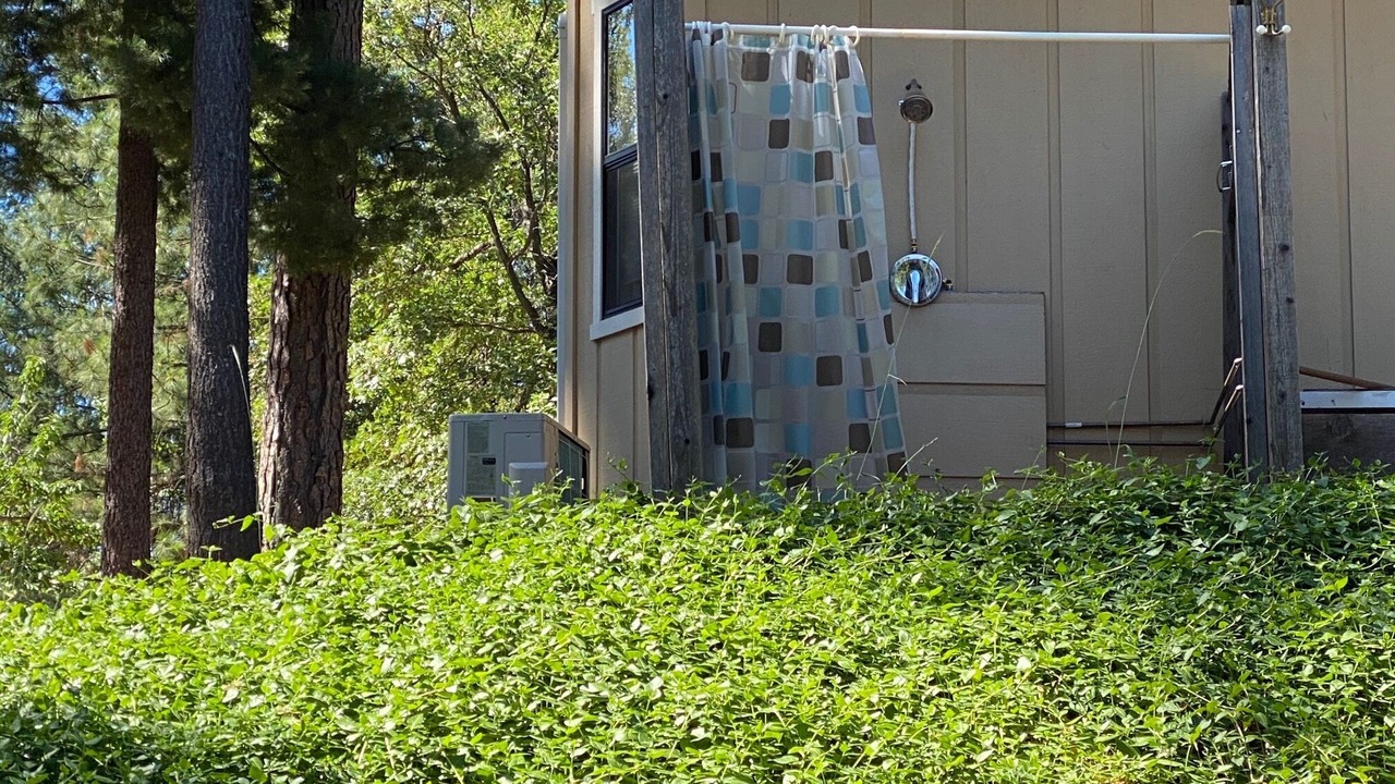 Photo of Outdoor in Cedar Ridge