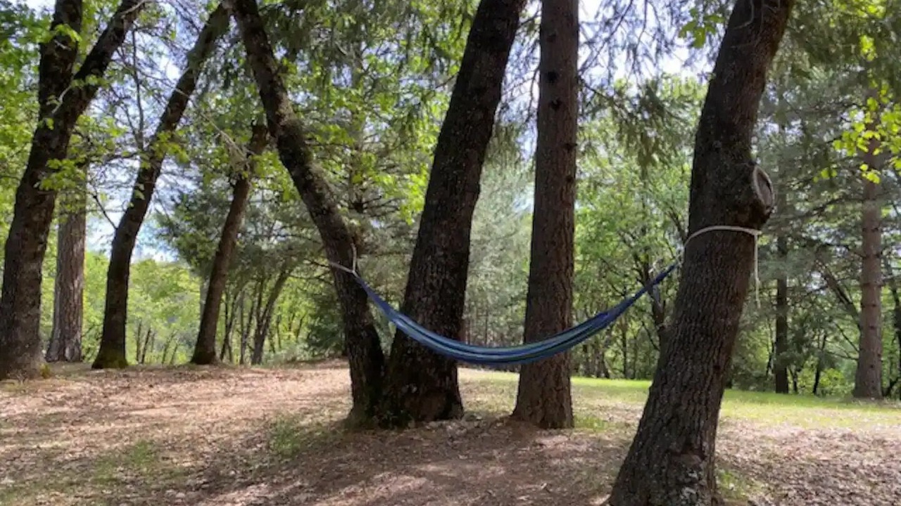 Photo of Outdoor in Cedar Ridge