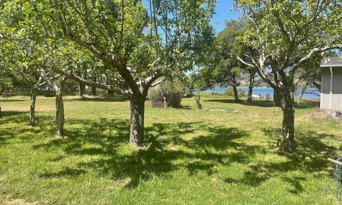 Photo of Outdoor in Inverness