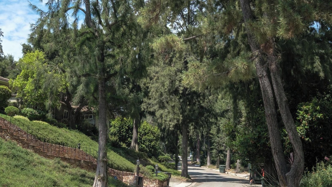 Photo of Outdoor in Greenbriar