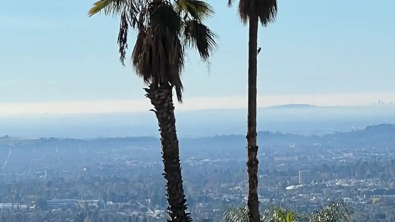 Photo of Outdoor in Altadena